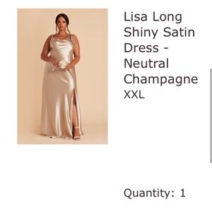 Birdy Grey Lisa Shiny Satin Dress - Neutral Champagne